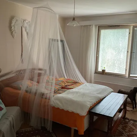 Kodikas Makuuhuone Yhteiskaeytoessae Olevasta Huoneistosta Kaleva Homestay *
